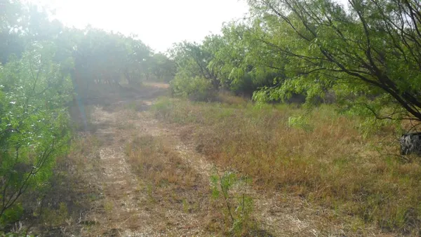 $1,624,880 | 1750 St Abilene Tx 79602, Abilene, TX 79602