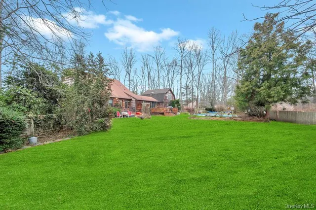 a view of a park with large trees