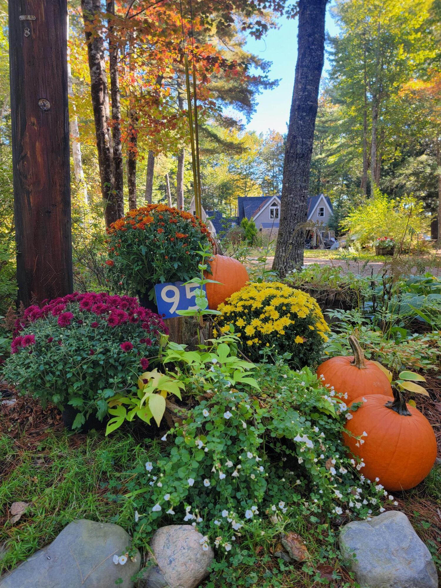 95 Silsby Road Mariaville, ME 04605 - Photo 4 of 87 95 Silsby Road