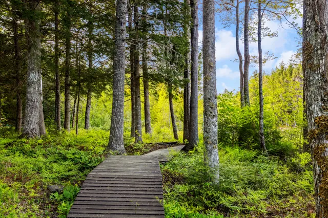 $765,000 | 95 Silsby Road, Mariaville, ME 04605