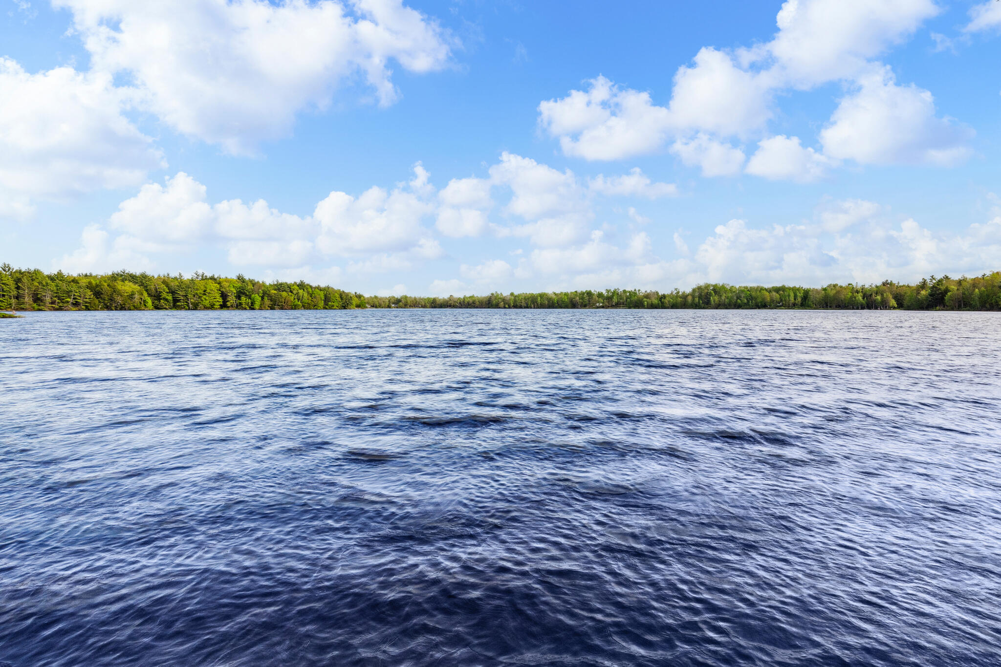 95 Silsby Road Mariaville, ME 04605 - Photo 7 of 87 Graham Lake