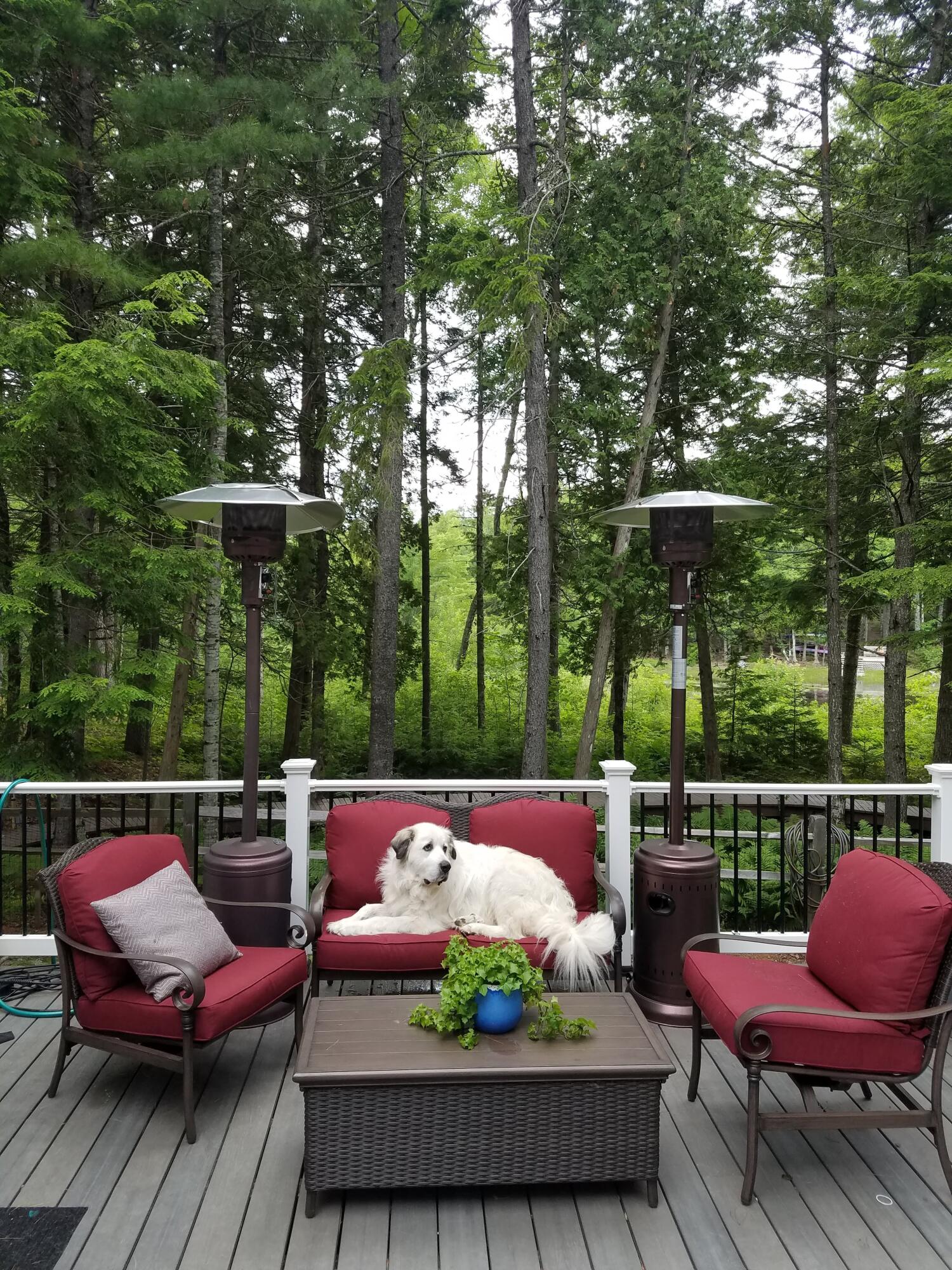 95 Silsby Road Mariaville, ME 04605 - Photo 72 of 87 Deck