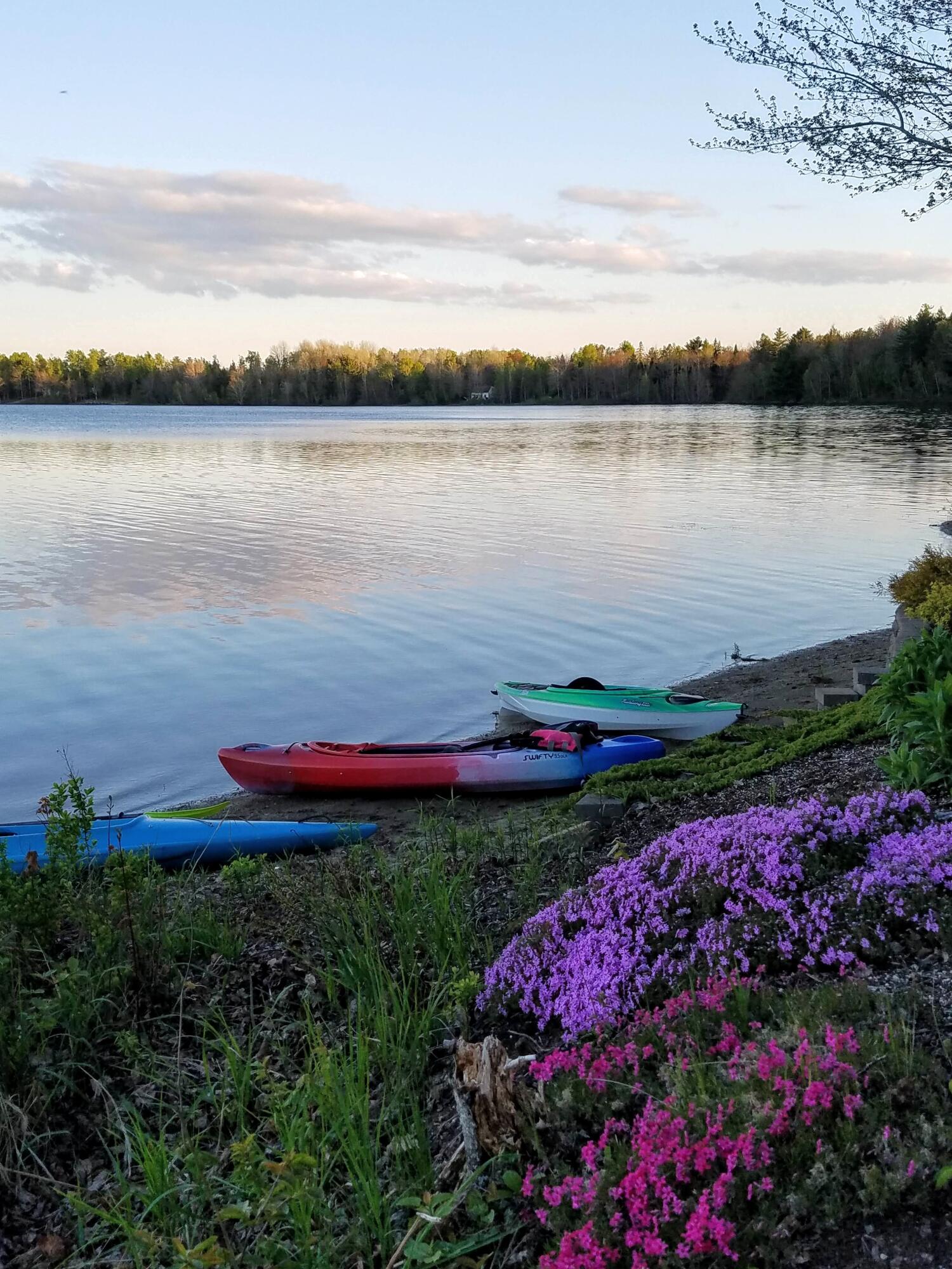 95 Silsby Road Mariaville, ME 04605 - Photo 74 of 87 Beach