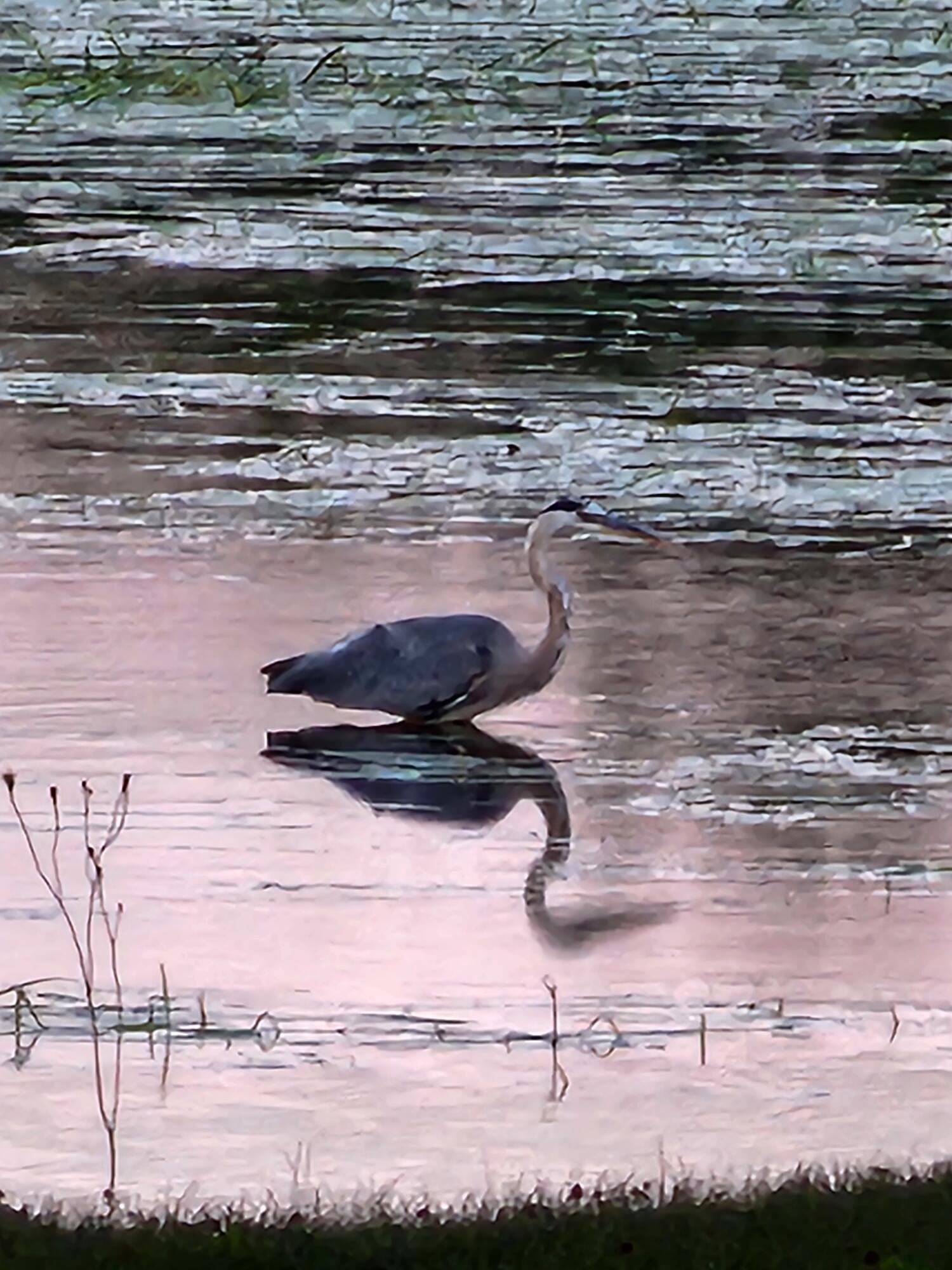 95 Silsby Road Mariaville, ME 04605 - Photo 75 of 87 20220722_195759