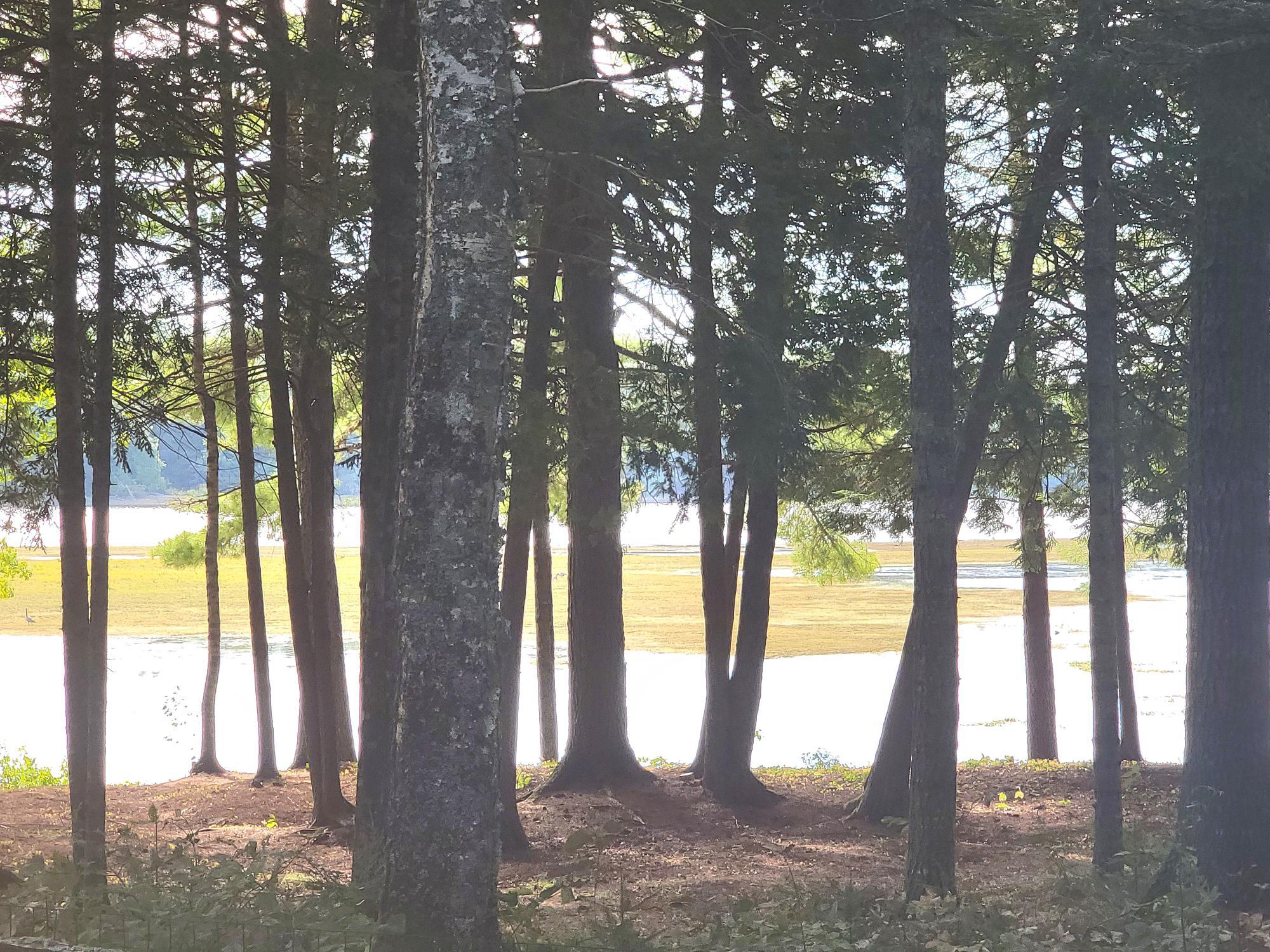 95 Silsby Road Mariaville, ME 04605 - Photo 85 of 87 Graham Lake