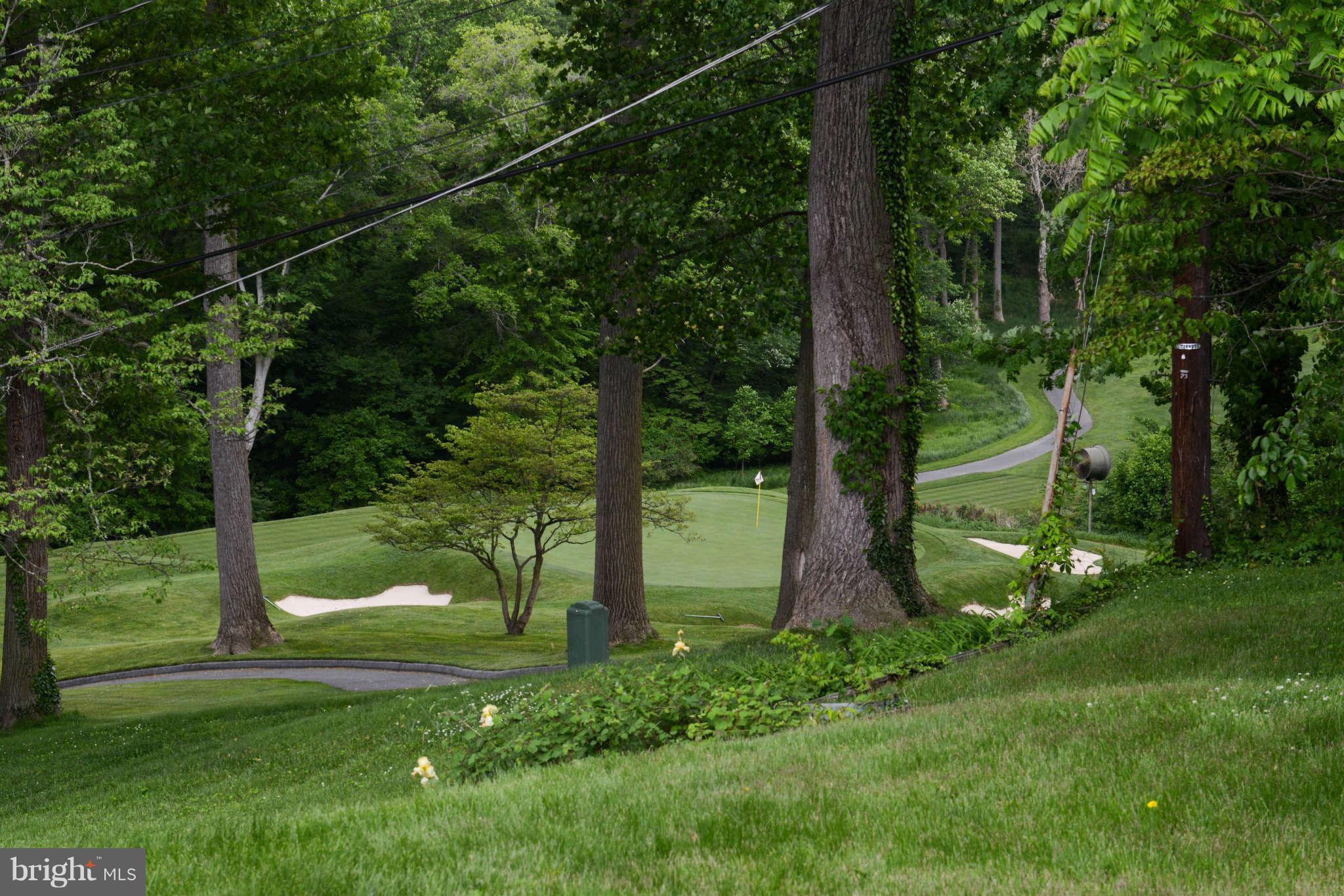 1208 St Andrews Way Baltimore, MD 21239 - Photo 18 of 20 Exterior (Rear) - Back yard - Golf course view