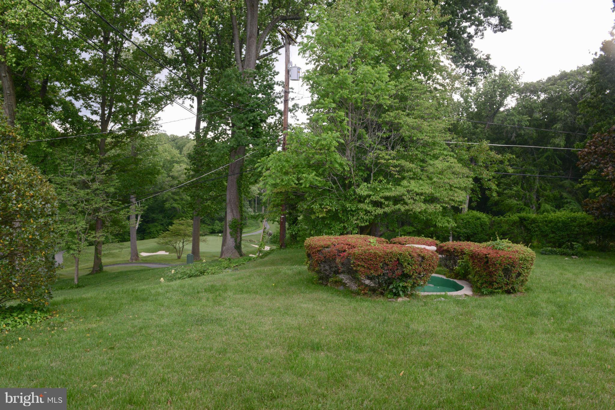 1208 St Andrews Way Baltimore, MD 21239 - Photo 19 of 20 Golf course view