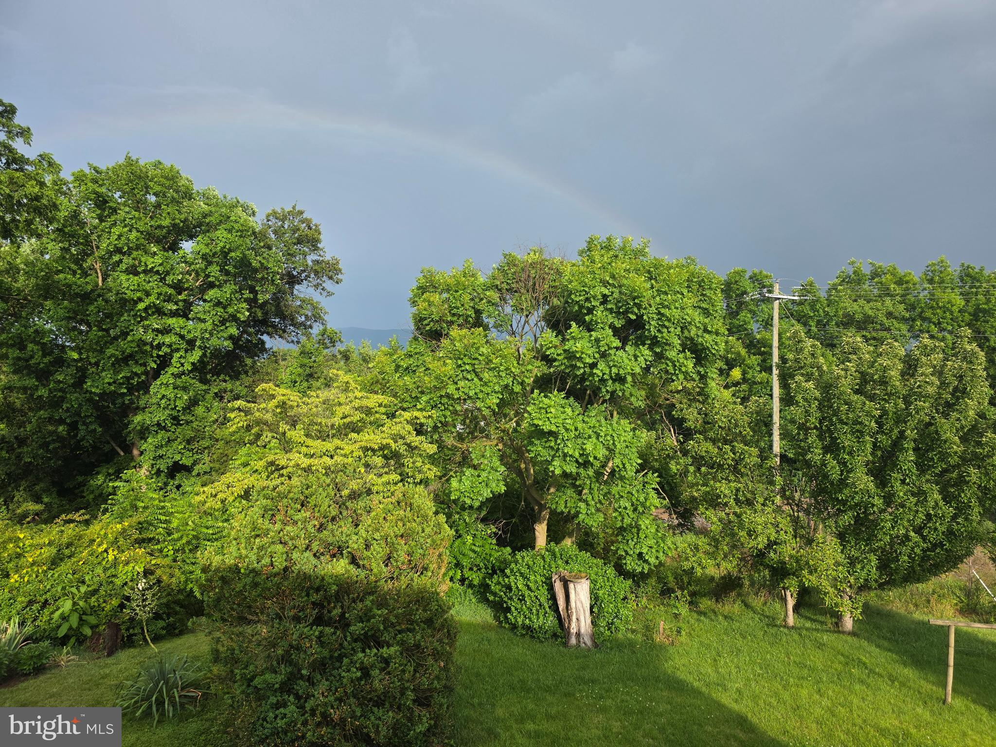 175 South Court Street Luray, VA 22835 - Photo 32 of 43 rainbow!