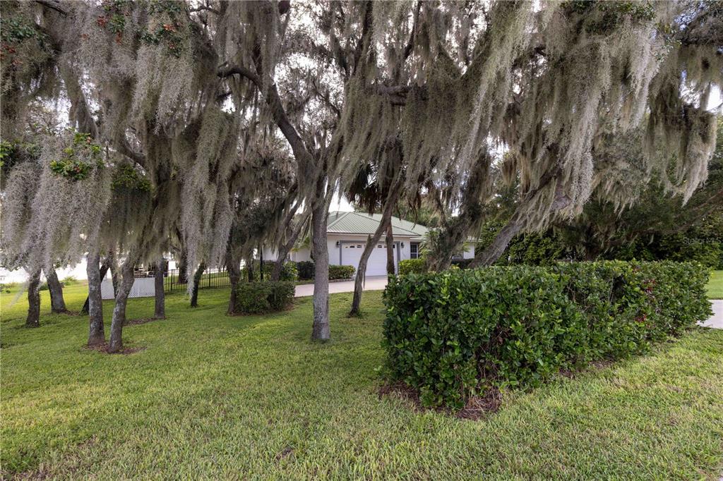 2329 South Lake Reedy Boulevard Frostproof, FL 33843 - Photo 83 of 86 a huge green field with lots of trees