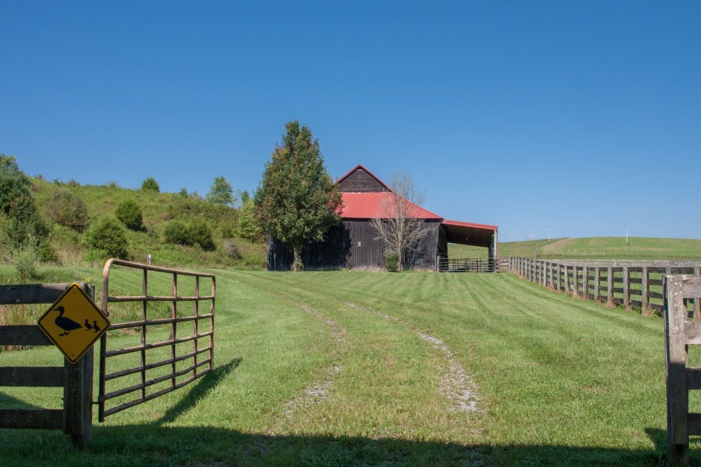 32555 McCready Road Damascus, VA 24236 - Photo 46 of 47 Gallery Image 46