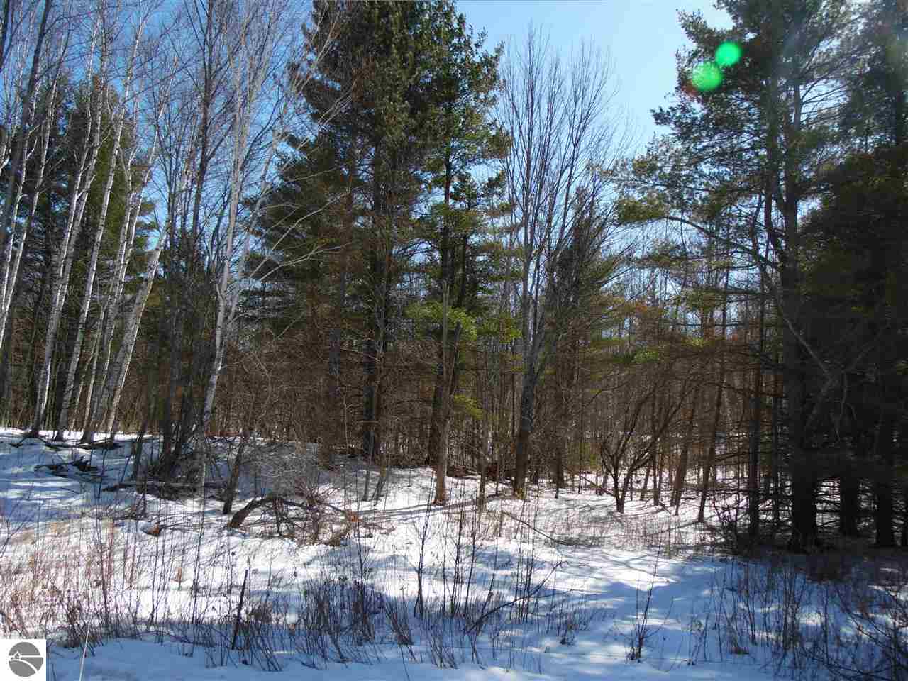 5490 Breen Road South Branch, MI 48761 - Photo 35 of 40 1795942-34.JPG