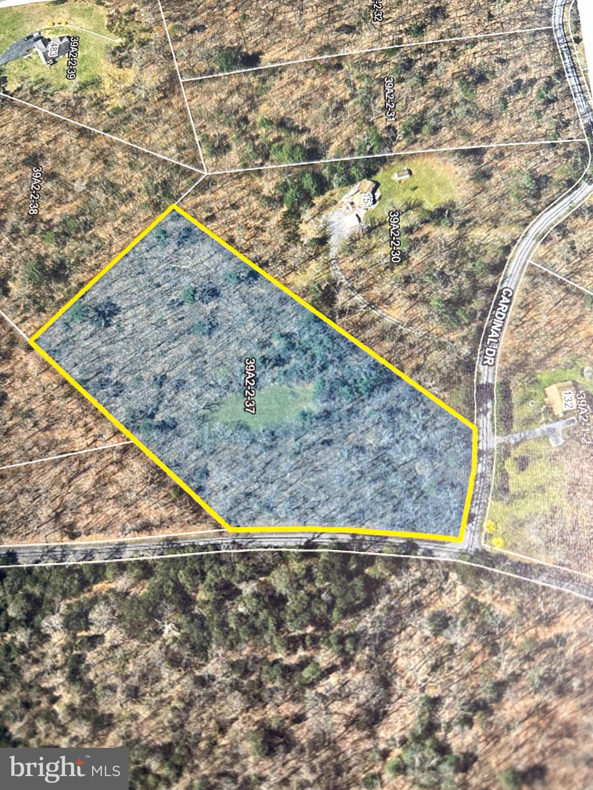 0 Egypt Bend Road Luray, VA 22835 - Photo 1 of 9 Gallery Image 1