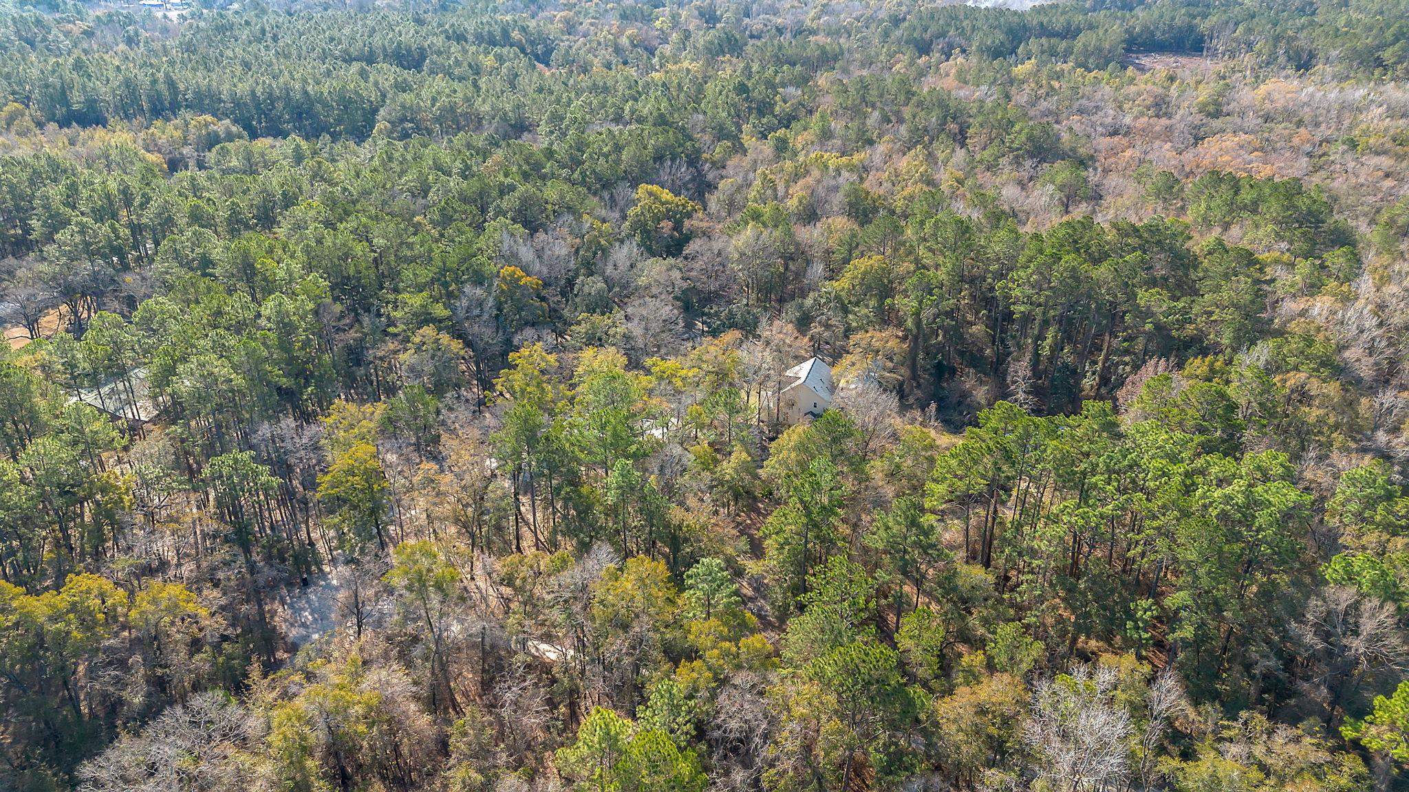 627 Nocatee Road Tallahassee, FL 32305 - Photo 5 of 49