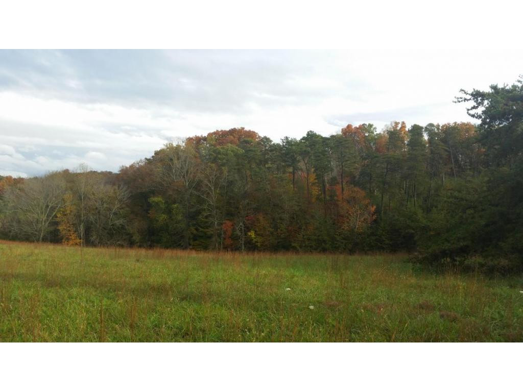 0 Chilton Newport, TN 37821 - Photo 3 of 10 view of property from distance