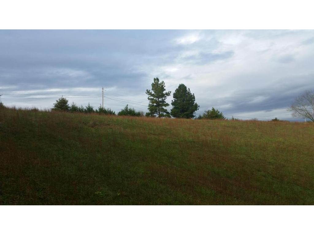 0 Chilton Newport, TN 37821 - Photo 4 of 10 Looking at lower end of proper
