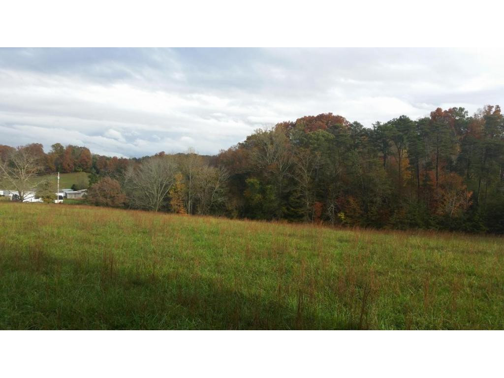 0 Chilton Newport, TN 37821 - Photo 5 of 10 Back edge before hill