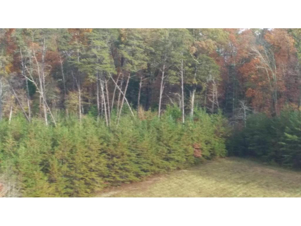 0 Chilton Newport, TN 37821 - Photo 10 of 10 Side of Property