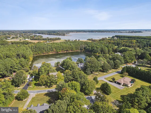 an aerial view of houses covered in trees