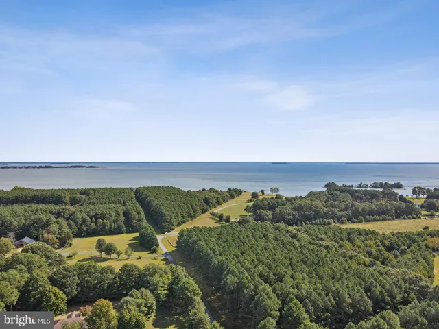 a view of outdoor space yard and patio