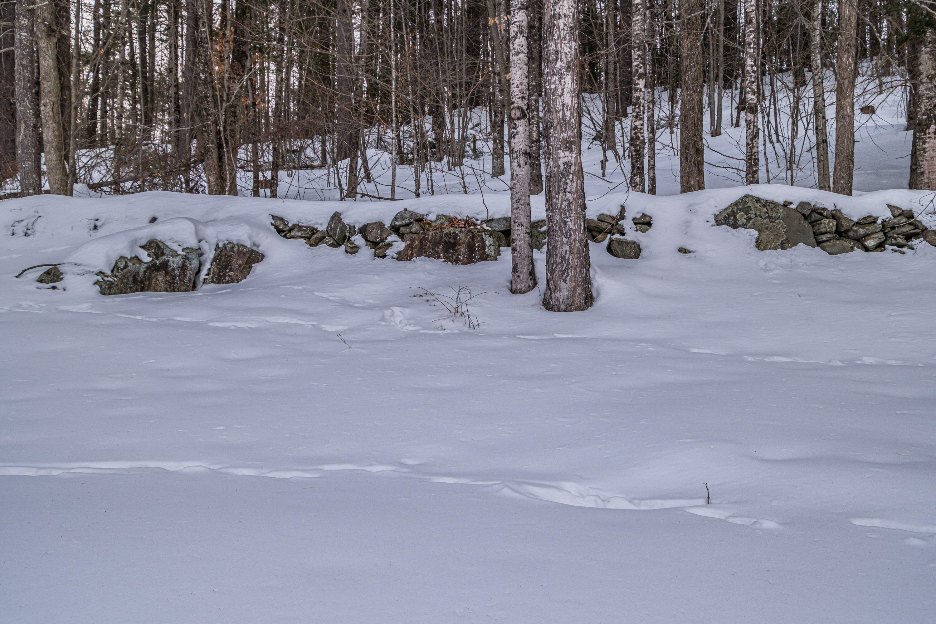 234 Buckfield Road Hebron, ME 04238 - Photo 49 of 59 20260210gp-60084