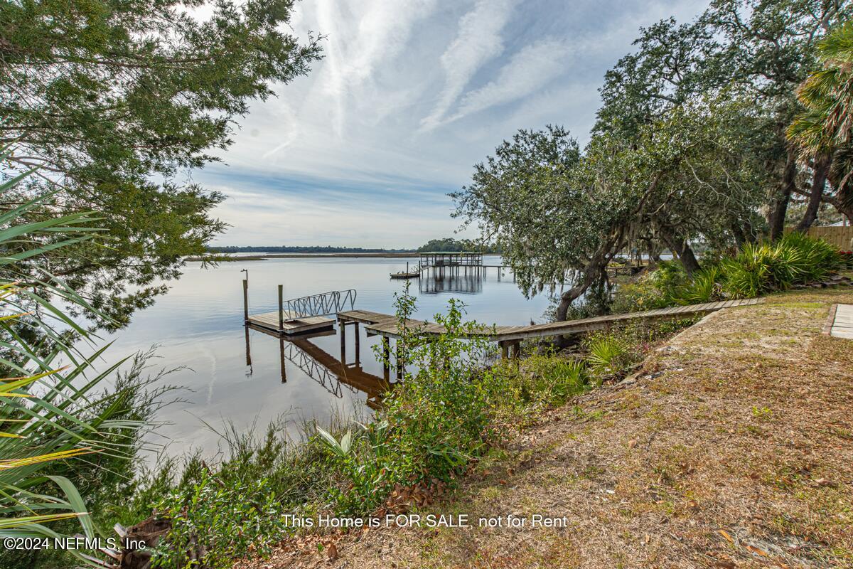 5745 Sheffield Road Jacksonville, FL 32226 - Photo 44 of 57 Backyard-View 3