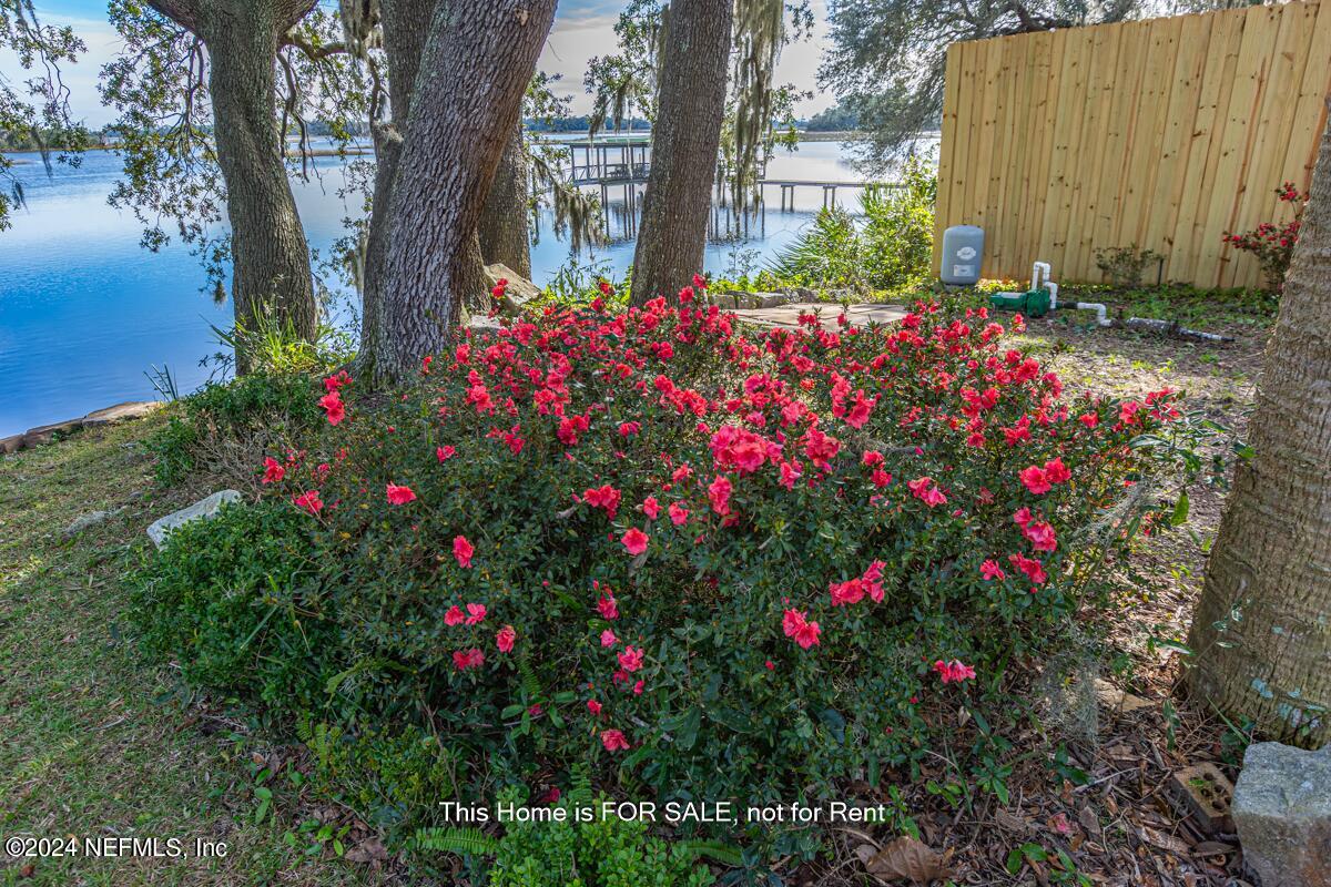 5745 Sheffield Road Jacksonville, FL 32226 - Photo 50 of 57 a view of a flower arrangement in backyard of a house