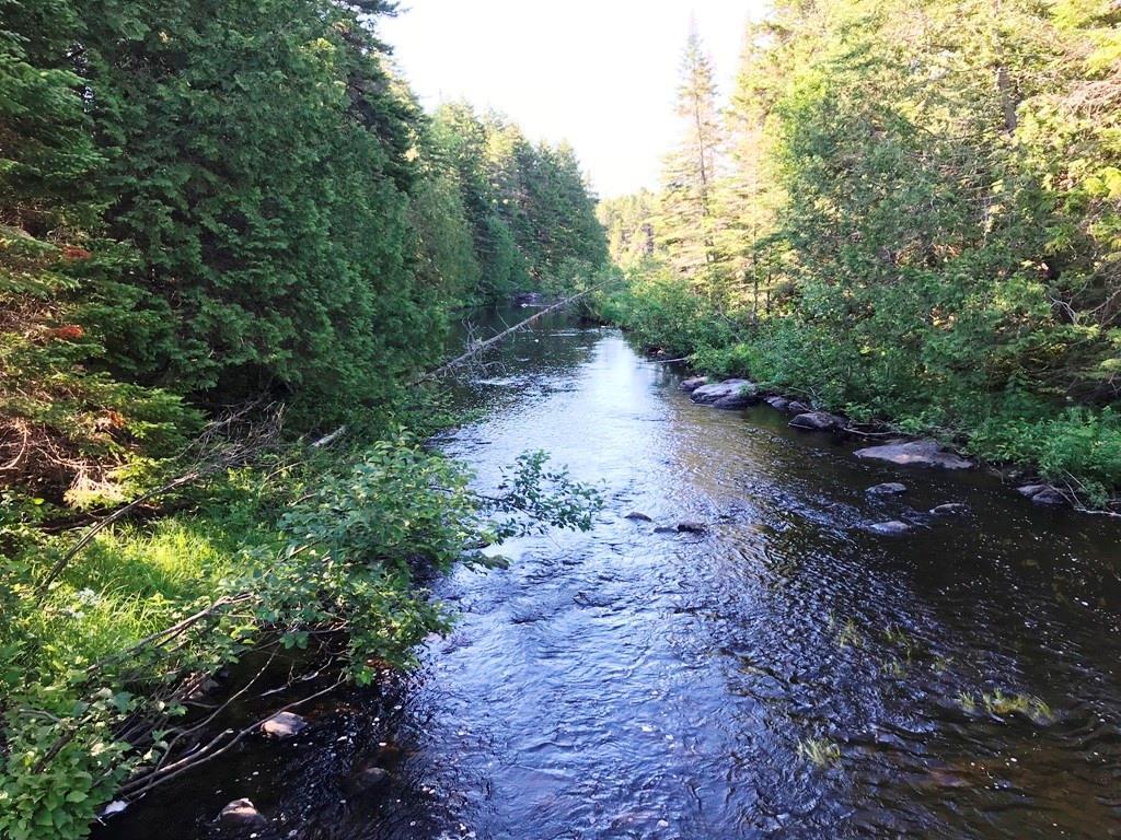 Tbd B&a Railroad North Road North Shirley, ME 04485 - Photo 2 of 22 Photo