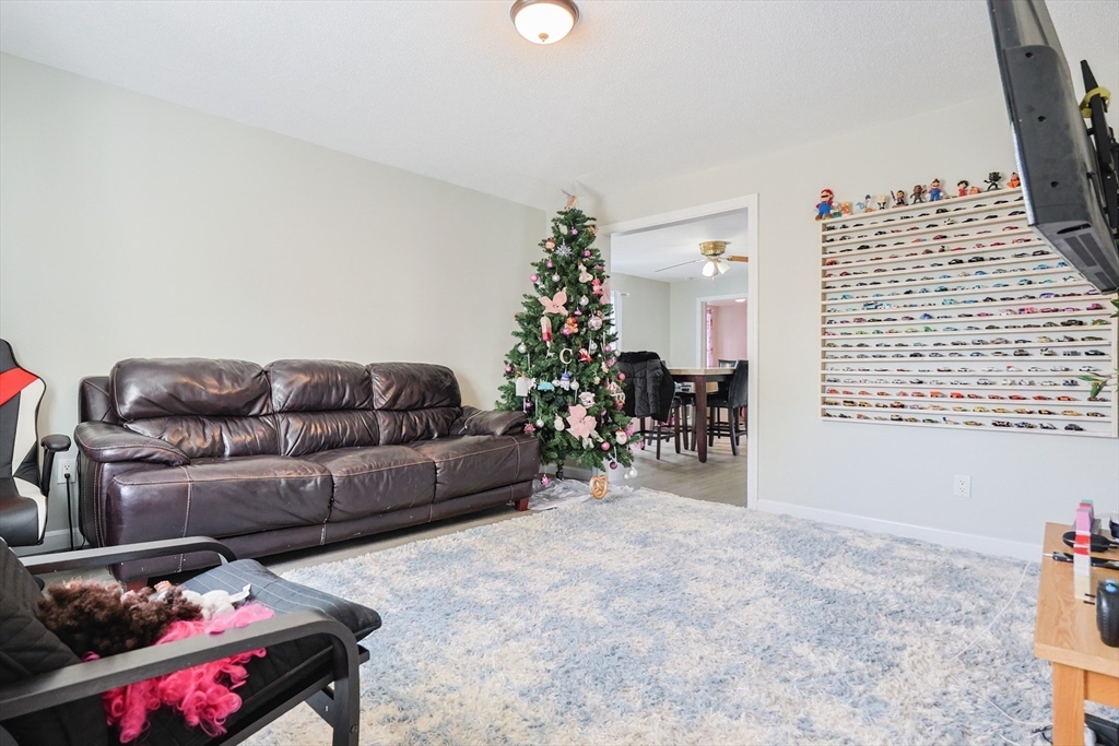 104 Oak Street Fall River, MA 02720 - Photo 11 of 37 a living room with furniture a couch and a potted plant