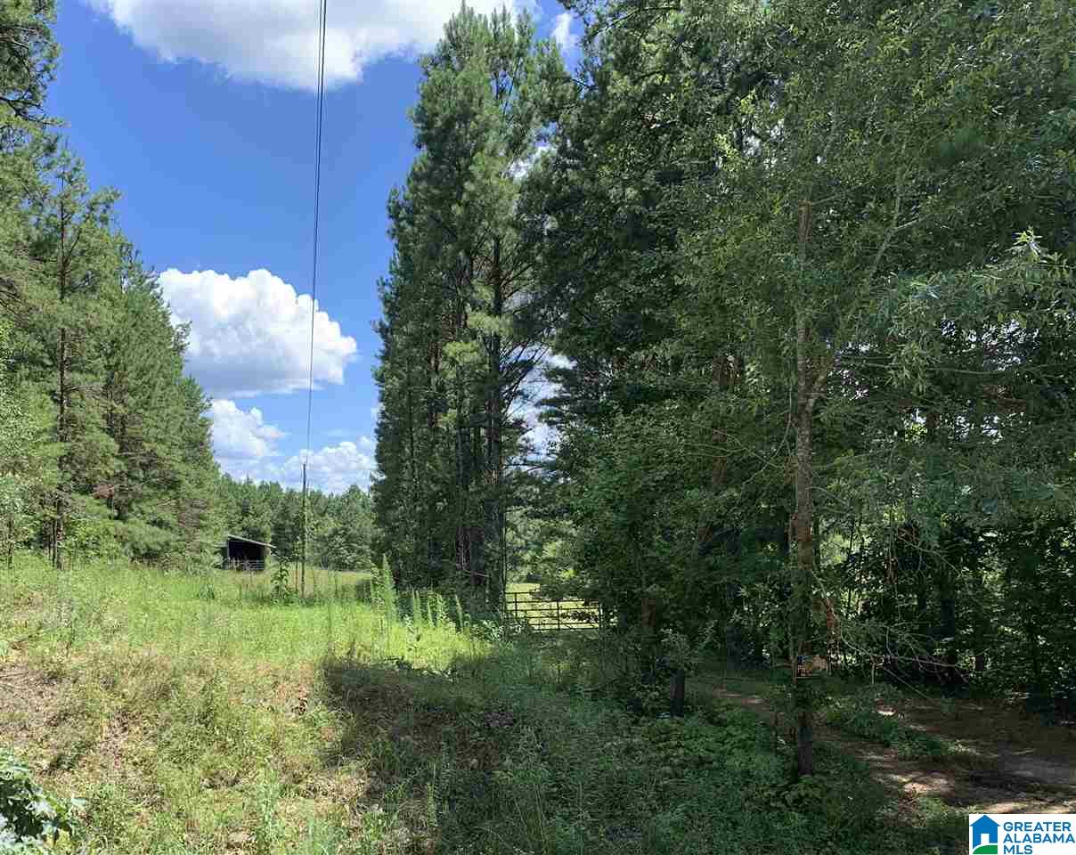 534 Stone Ridge Trail South Anniston, AL 36207 - Photo 49 of 49
