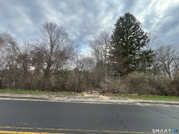 a view of street next to a yard