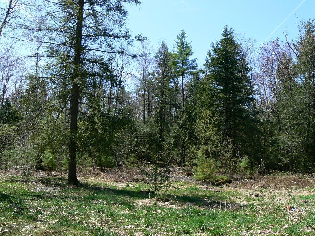 10 Reed Road Windsor, ME 04363 - Photo 18 of 21 Photo