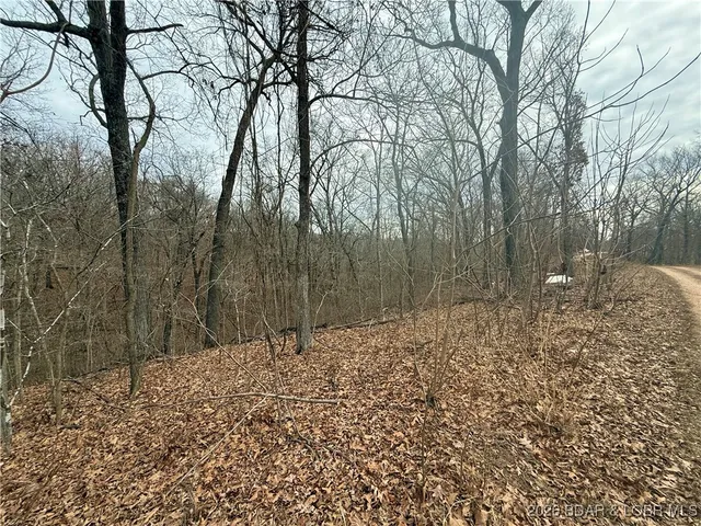 $8,000 | 5-10 Ozark View Lane, Stover, MO 65078