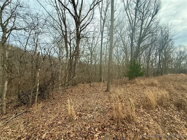 $8,000 | 5-10 Ozark View Lane, Stover, MO 65078