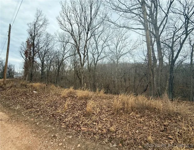 $8,000 | 5-10 Ozark View Lane, Stover, MO 65078