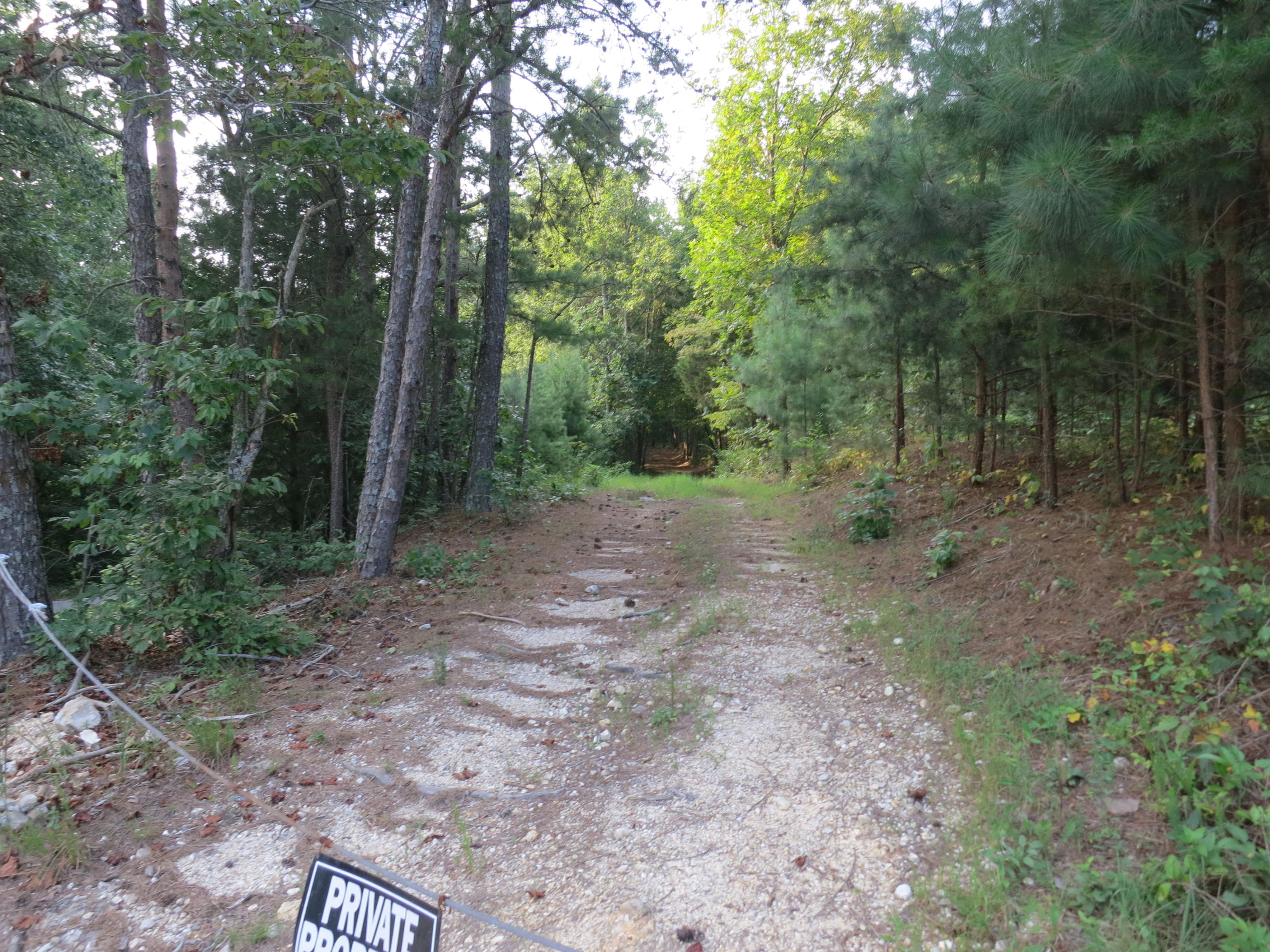 203 Teems Road Ringgold, GA 30736 - Photo 2 of 7 IMG_3082