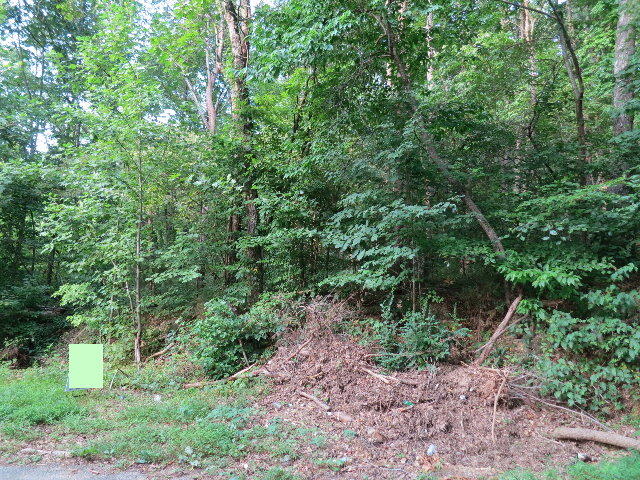 203 Teems Road Ringgold, GA 30736 - Photo 3 of 7 p1214394_a