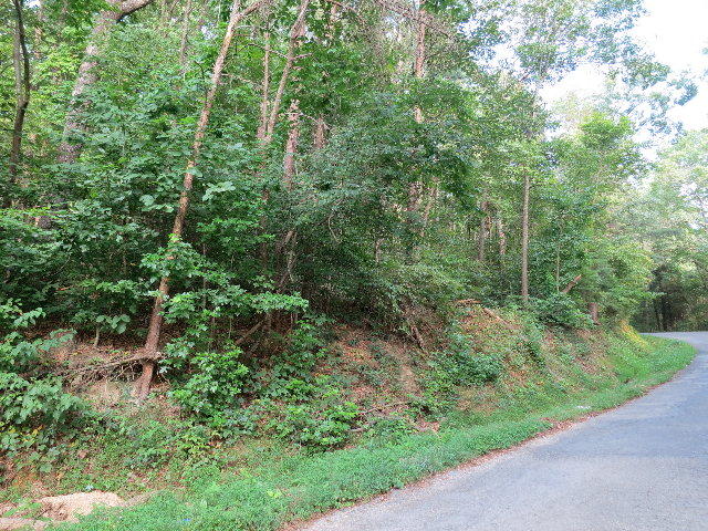 203 Teems Road Ringgold, GA 30736 - Photo 4 of 7 p1214394_b