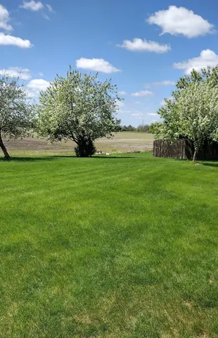 a park with trees in the background
