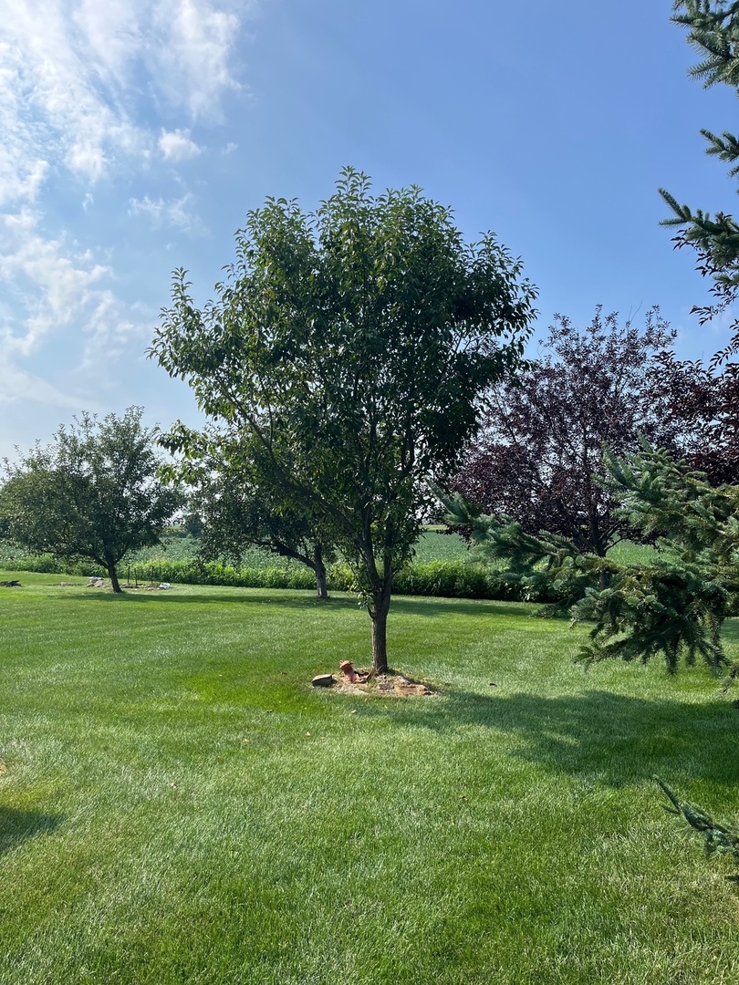 1807 Sunset Lane Morris, IL 60450 - Photo 37 of 42