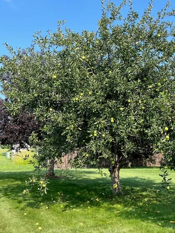 a view of a lake with a big yard