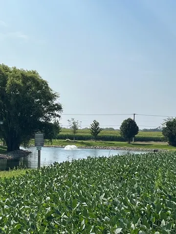 a view of a field of grass and trees