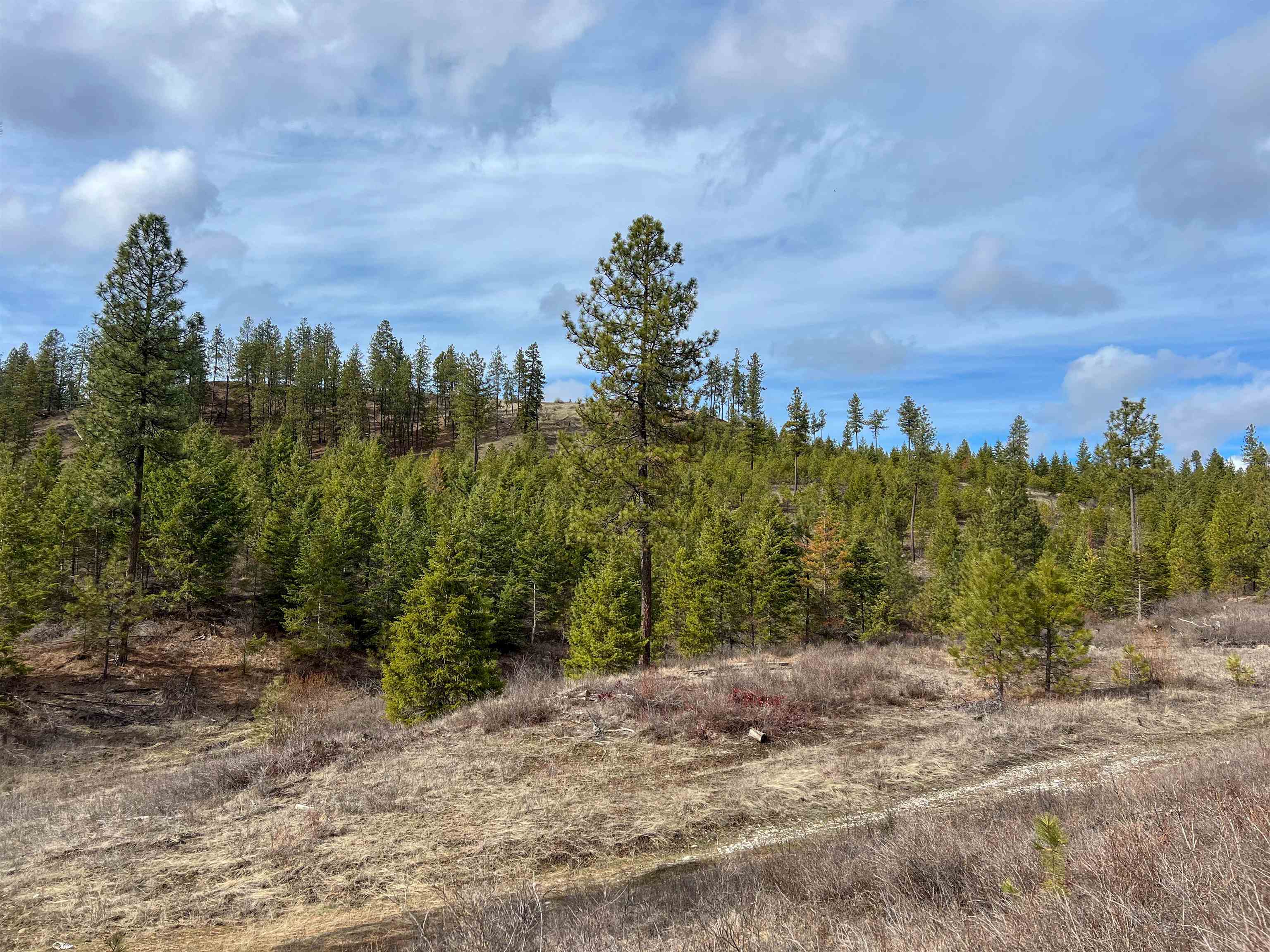 352 X Green Road Valley, WA 99181 - Photo 15 of 32