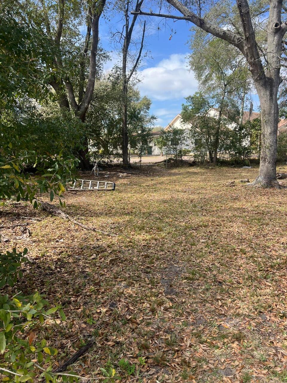 5846 Abelia Road Jacksonville, FL 32209 - Photo 15 of 15 a view of yard with tree