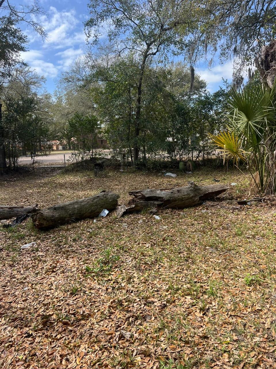 5846 Abelia Road Jacksonville, FL 32209 - Photo 2 of 15 a view of a yard with an trees