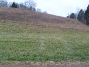 0 Summer Sound Road Piney Flats, TN 37686 - Photo 1 of 6 Photo 1