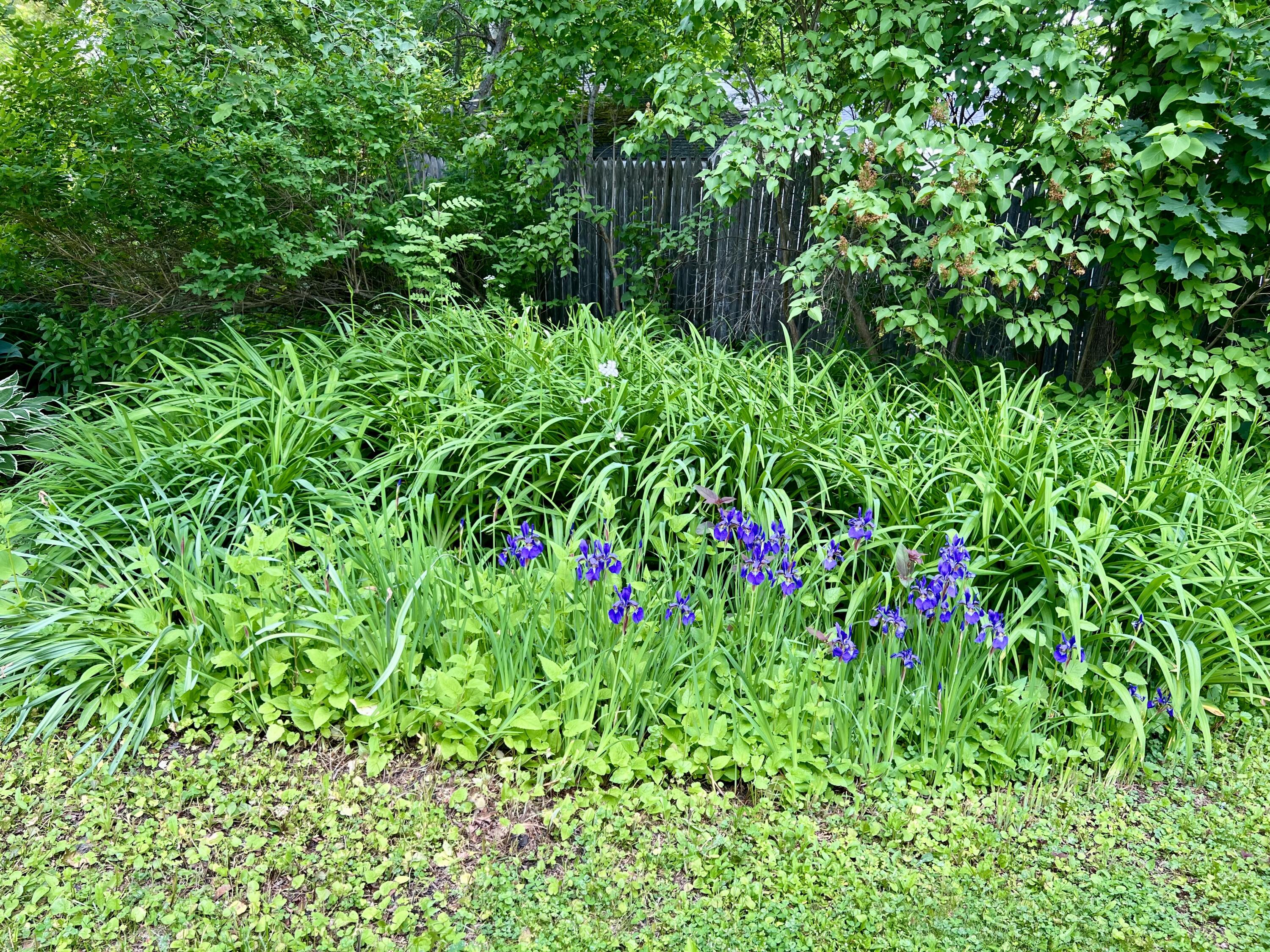 59 Cedar Street Belfast, ME 04915 - Photo 75 of 92 IMG_9279