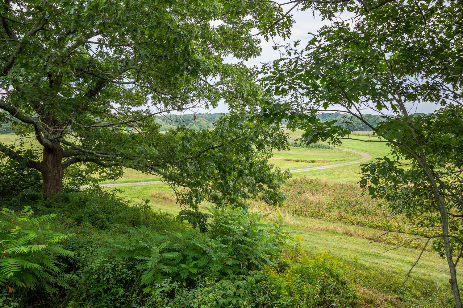 1018 Sawyer Road Cape Elizabeth, ME 04107 - Photo 30 of 37 1018 Sawyer Rd Cape Elizabeth-large-032-