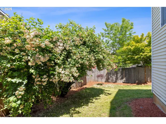 a view of a back yard