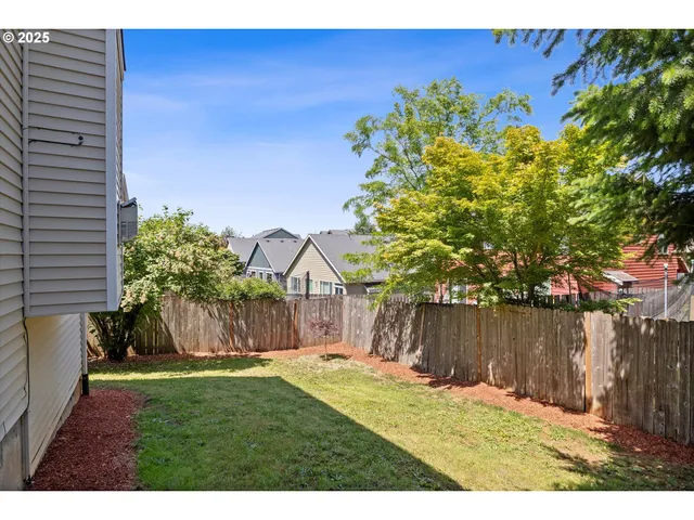a view of a backyard with a tree