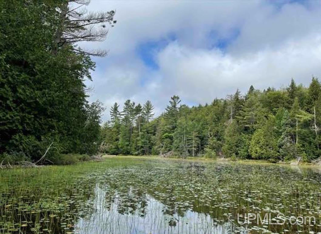 Tbd Tbd Loon Lake Road Michigamme, MI 49861 - Photo 6 of 10
